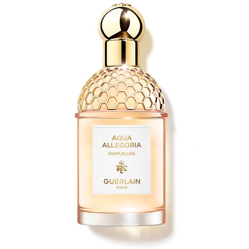 Aqua Allegoria Pamplelune