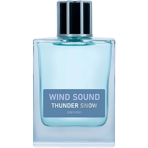Wind Sound THUNDER SNOW