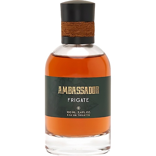 AMBASSADOR Frigate