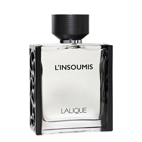 L'Insoumis