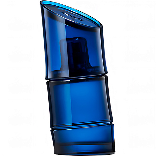 HOMME EAU DE TOILETTE INTENSE