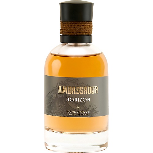 AMBASSADOR Horizon